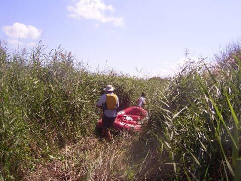 Image description